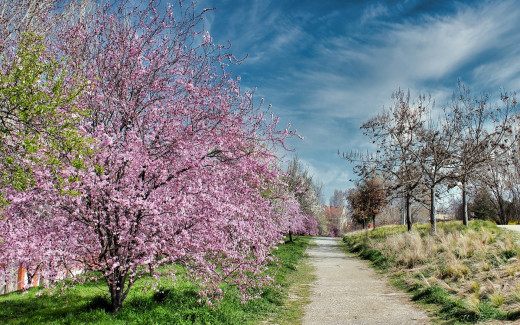 1750897 (a): :1920x1200